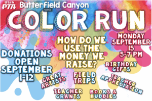 Color run